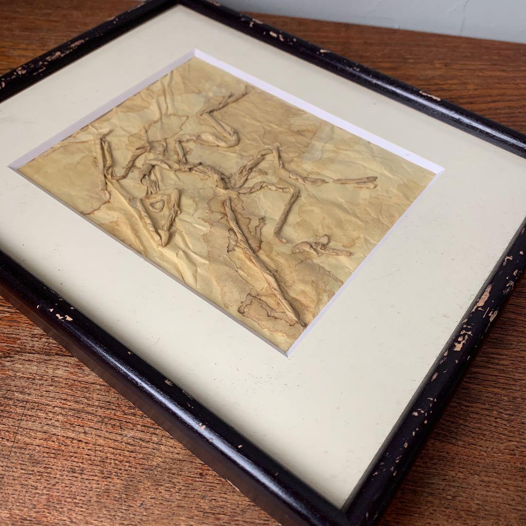 私の作った ちぎり絵 始祖鳥の化石 木製ビンテージフレーム付き ジュラ紀