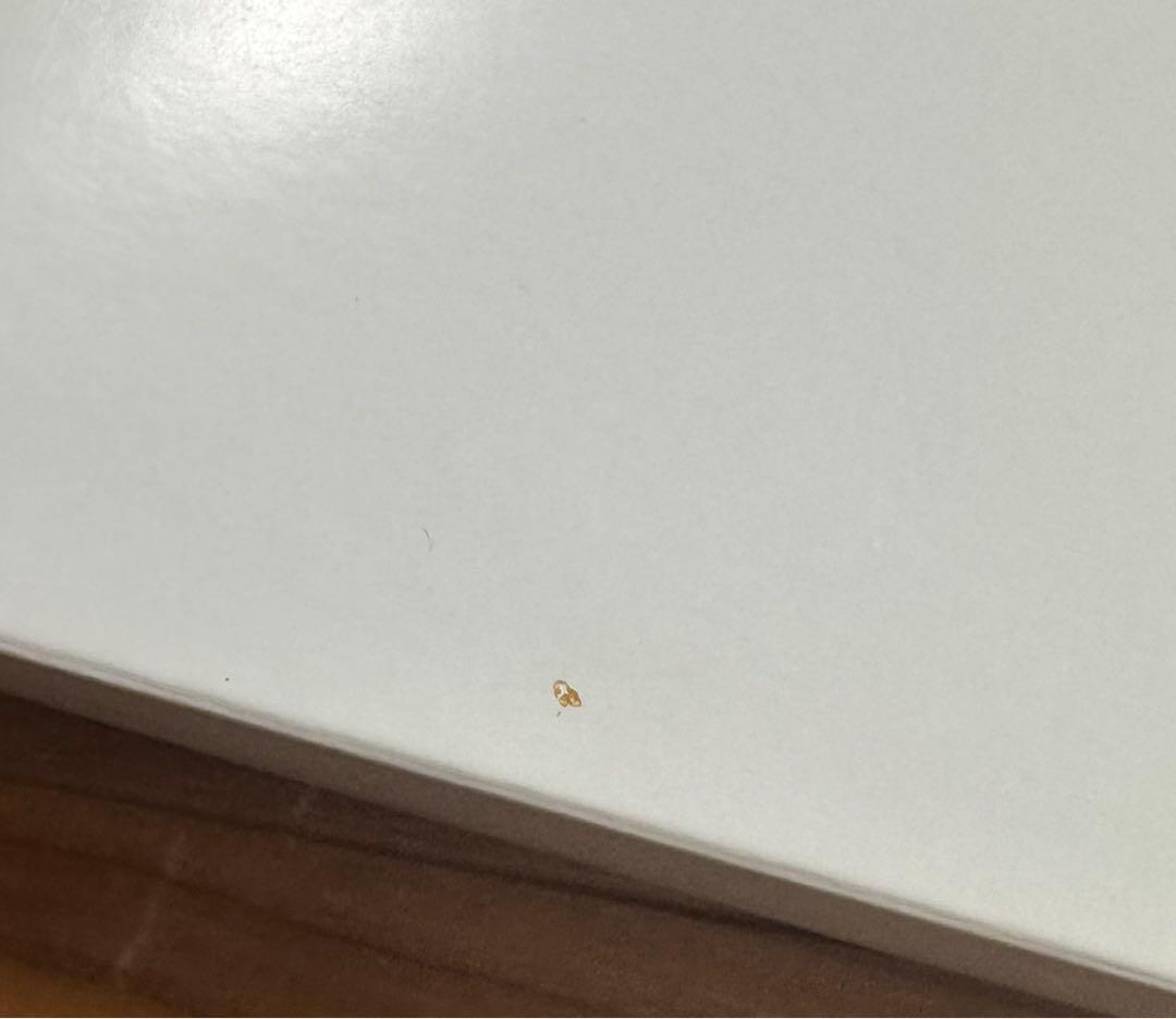 ディオール　Dior ノベルティ　おまとめ　タオル　シュシュなど　ギフト