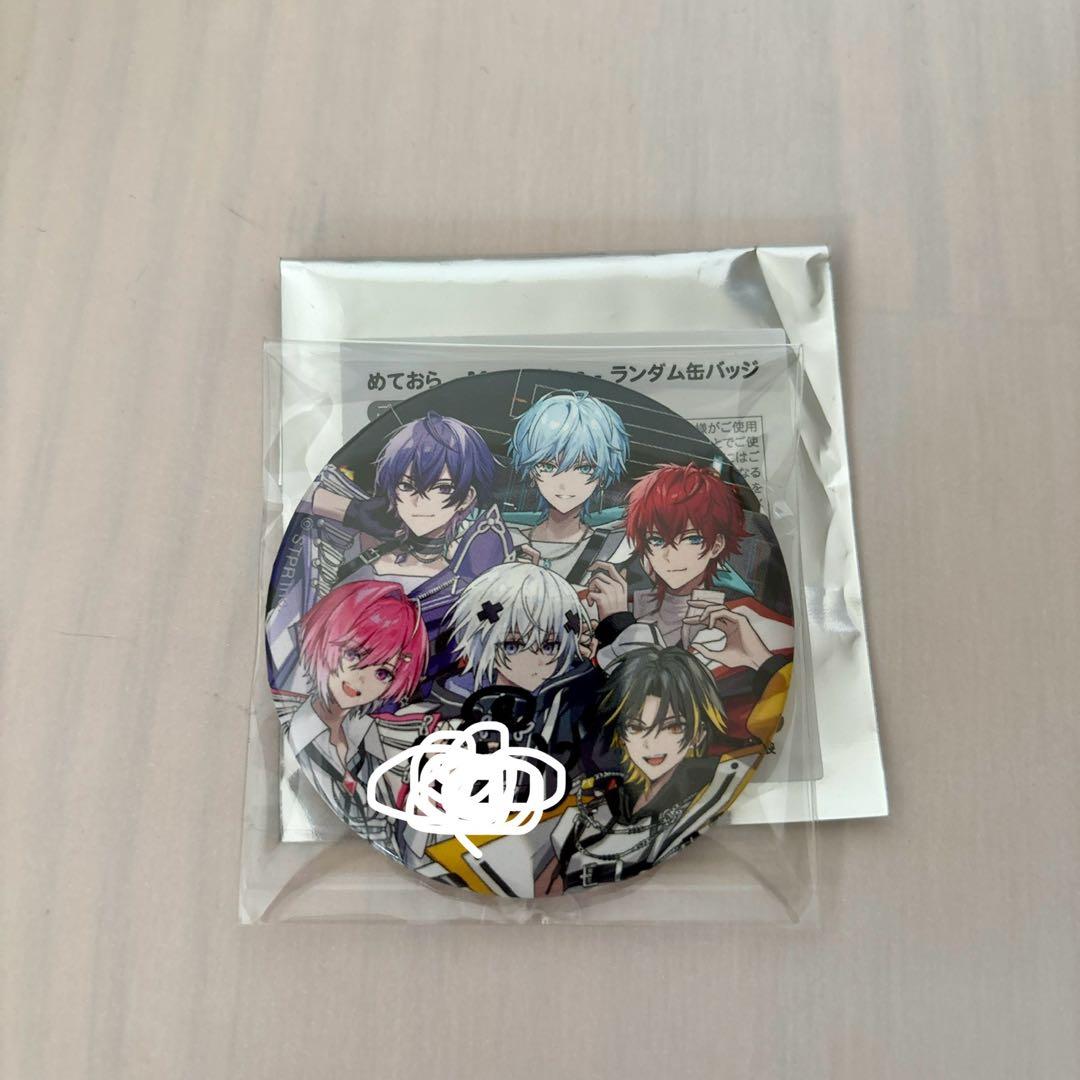 最終価格 めておら メルト・ダ・テンシ サイン入り缶バッジ 武道館