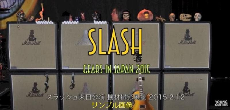 Guns n' Roses Slash スラッシュ 2015年 ギターピック