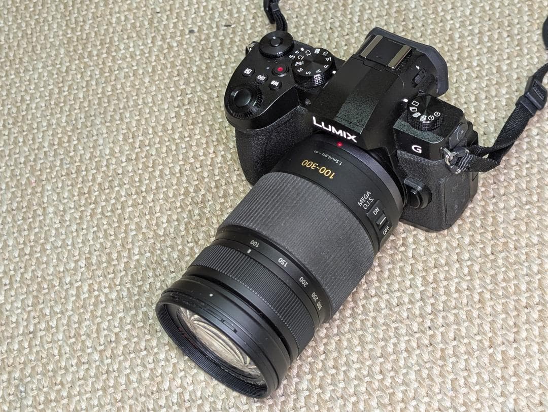 ◆LUMIX G VARIO 100-300mm / F4.0-5.6◆