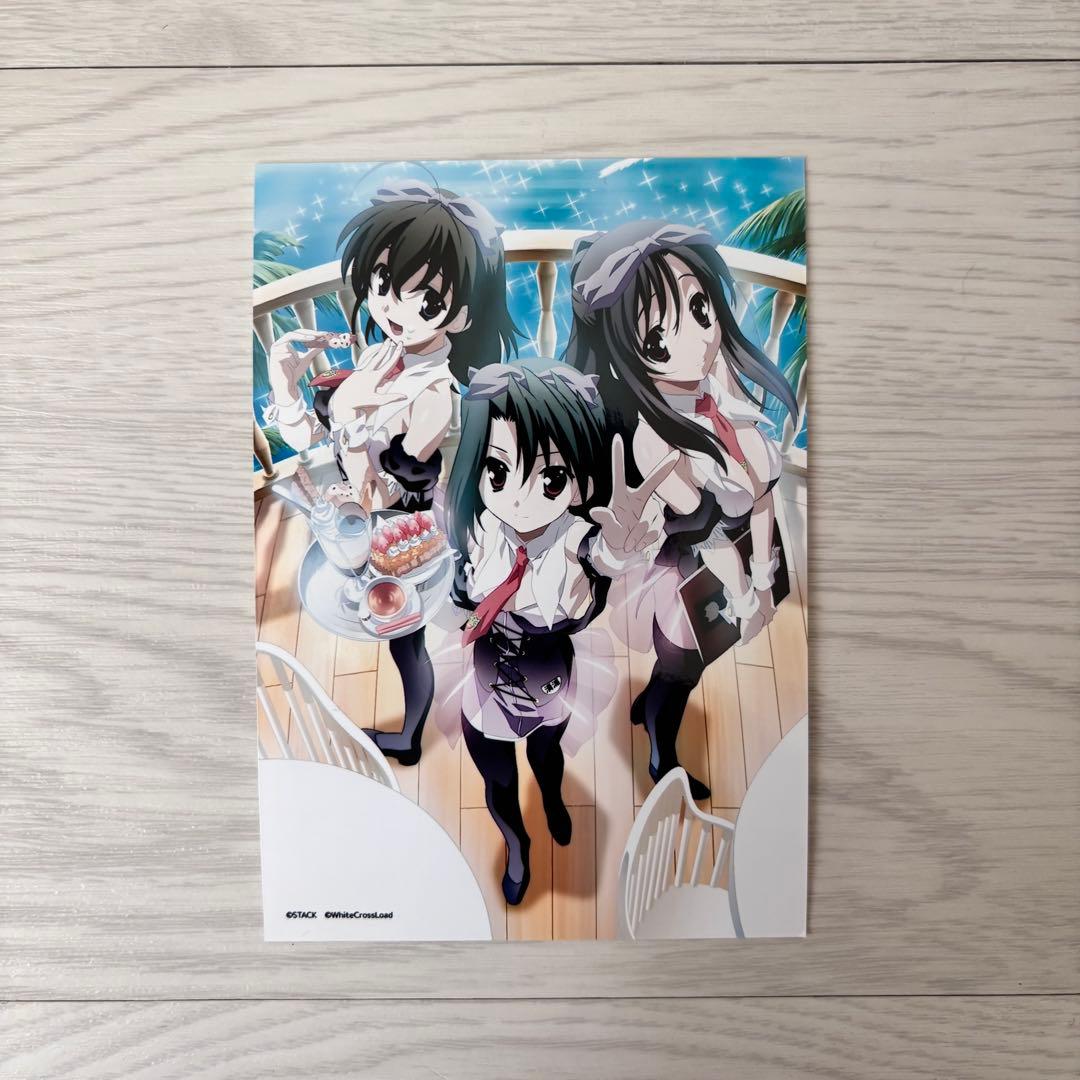 School Days 20周年記念 ブロマイド 西園寺世界 桂言葉 清浦刹那