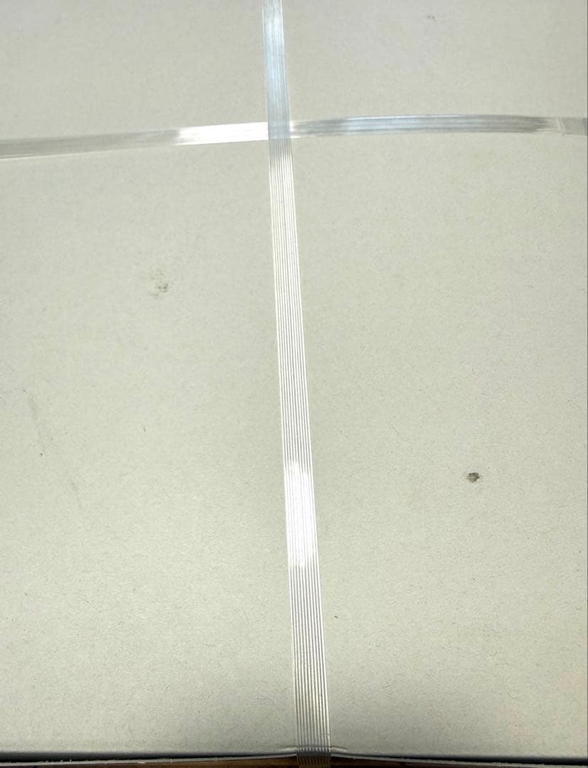 【未開封】MG 1/100 シナンジュ Ver.Ka チタニウムフィニッシュ