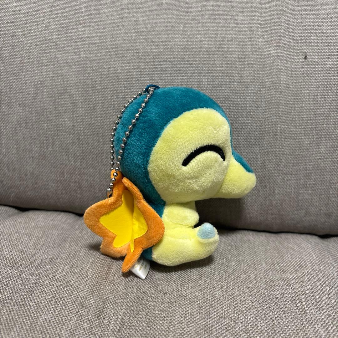 ヒノアラシドール　ポケセン