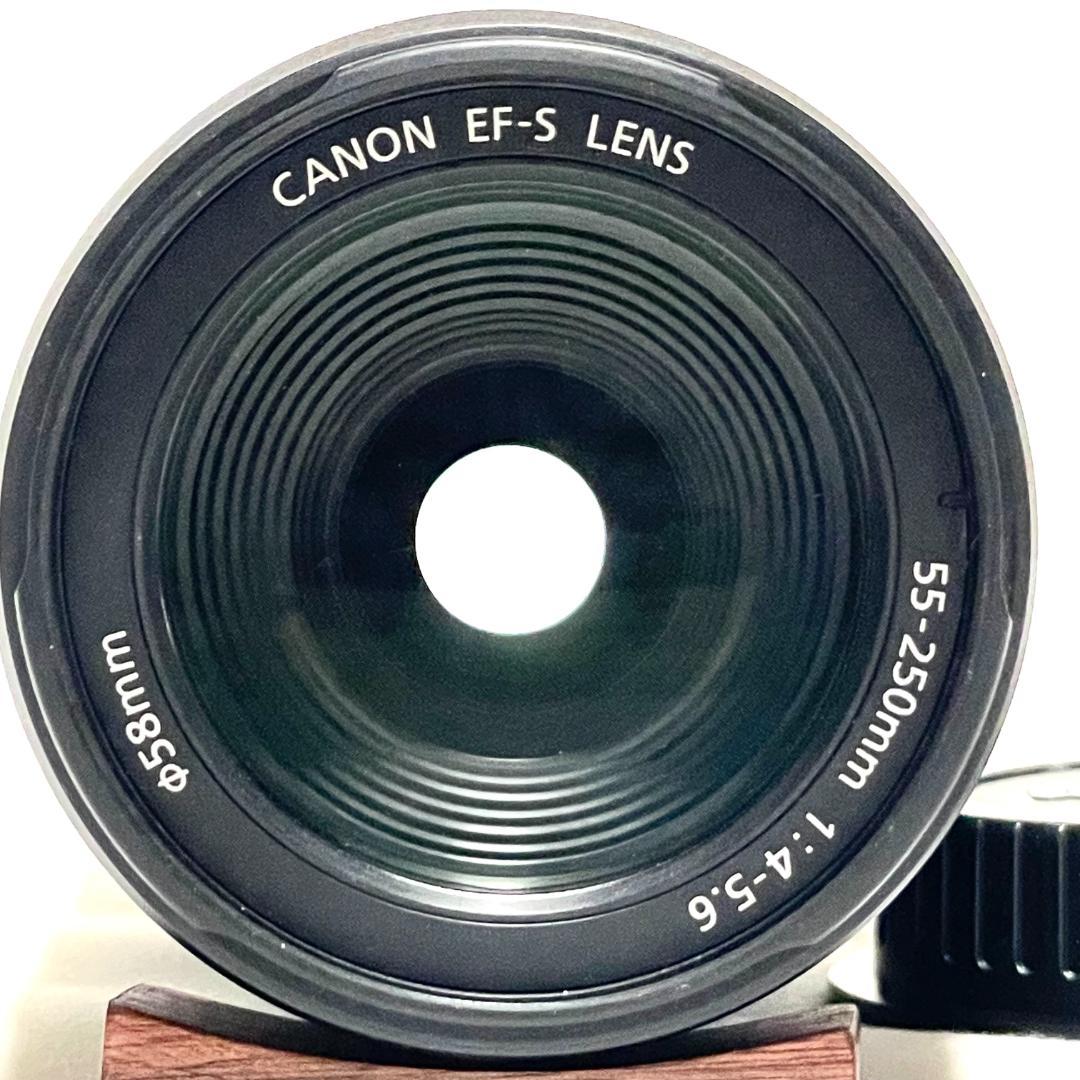 春の望遠撮影に☀️ Canon EF-S 55-250mm 望遠ズームレンズ - メルカリ