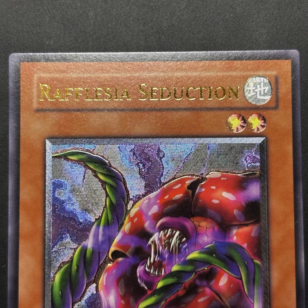 遊戯王　幻惑のラフレシア　旧アジア版　レリーフ