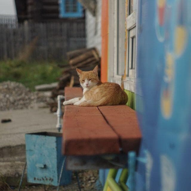 73　美品　初期型　ジュピター 8 　2/50 L39　分解洗浄済み