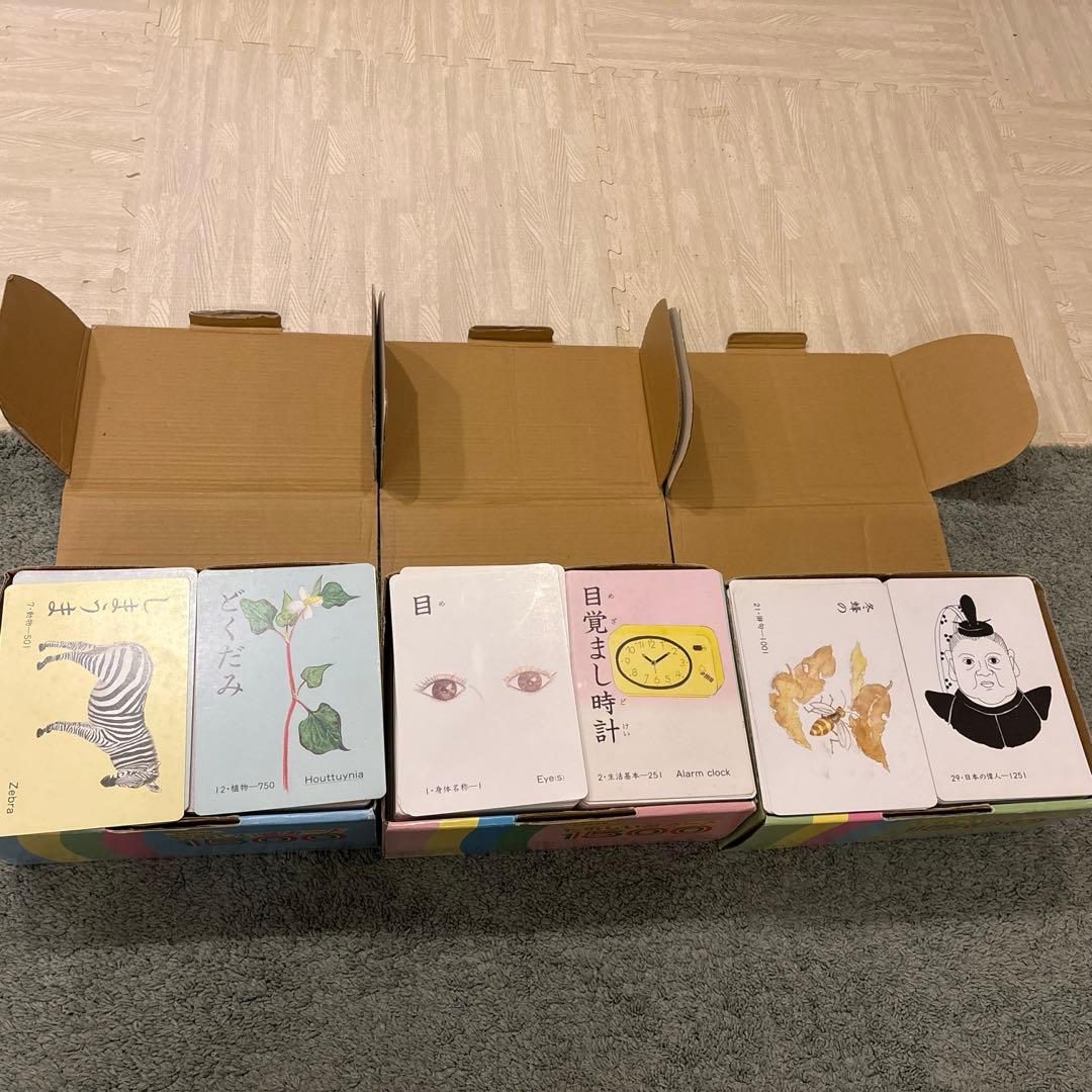 家庭保育園 たのしい絵カード 家庭保育園 絵カード ABC フラッシュ