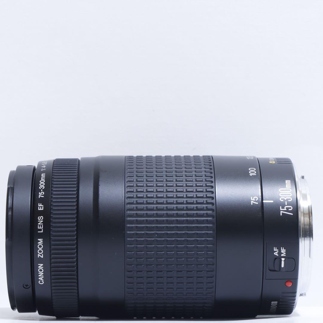 ◇ 大迫力300mm超望遠 ◇Canon純正 75-300mm II型 ◇ - メルカリ