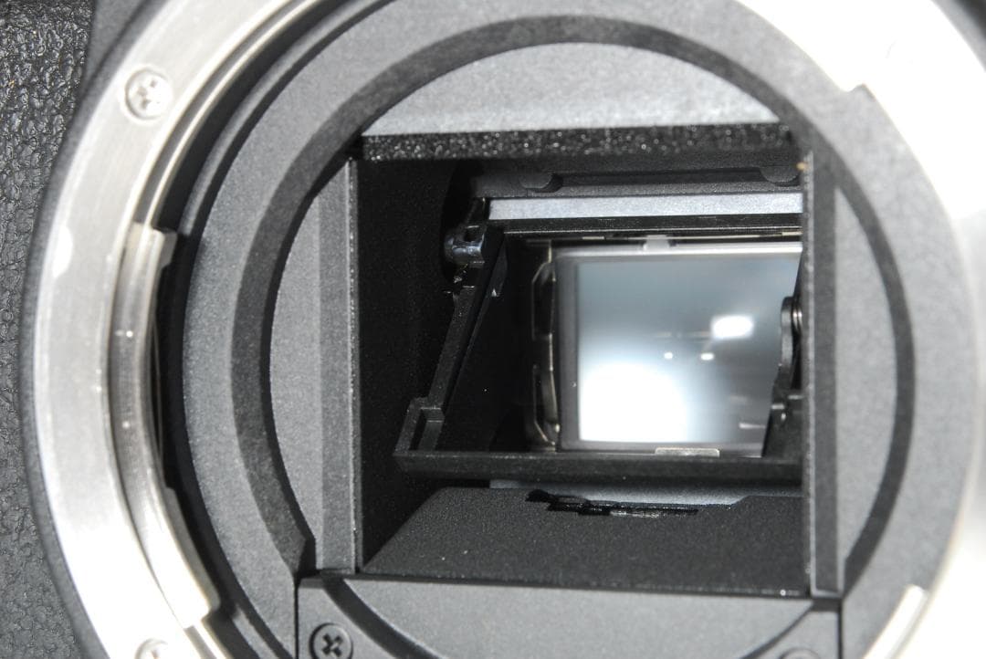 Canon EOS 8000D 18-135mm STMキット SC6489美品 - メルカリ