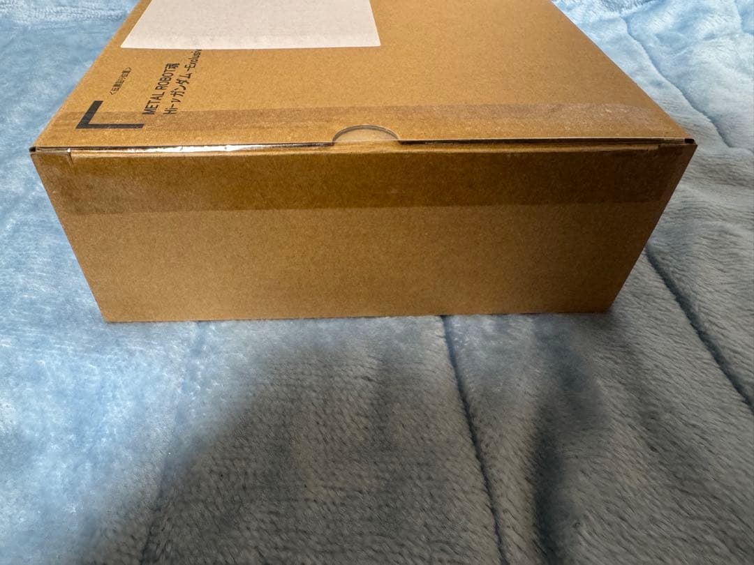 野生の山男　メタルロボット魂　Hi-ν GUNDAM