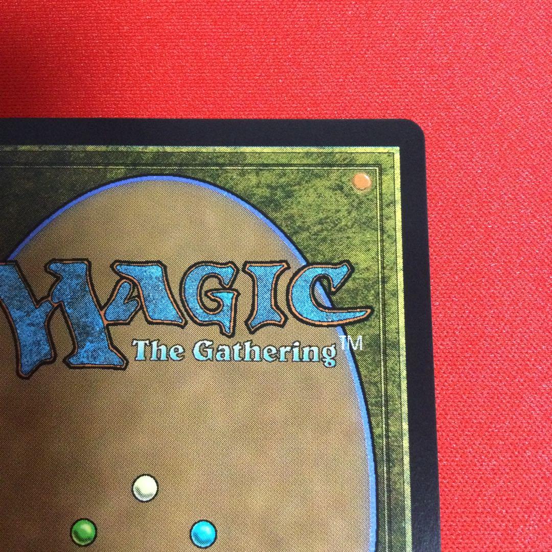 霧深い雨林　Misty Rainforest　ドラゴンスケイル　foil