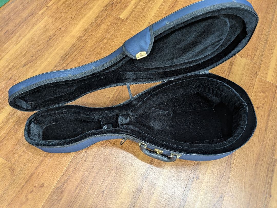 マンドラ Mandola(セミハードケース付)【落合忠男製作/特注品】 - メルカリ