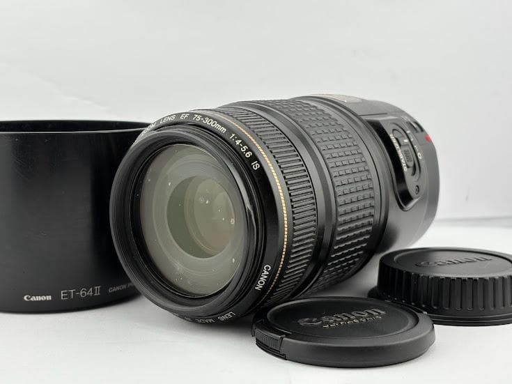★良品★キヤノン CANON EF 75-300mm F4-5.6 IS USM 8129QWb-QsL._AC_UF350,