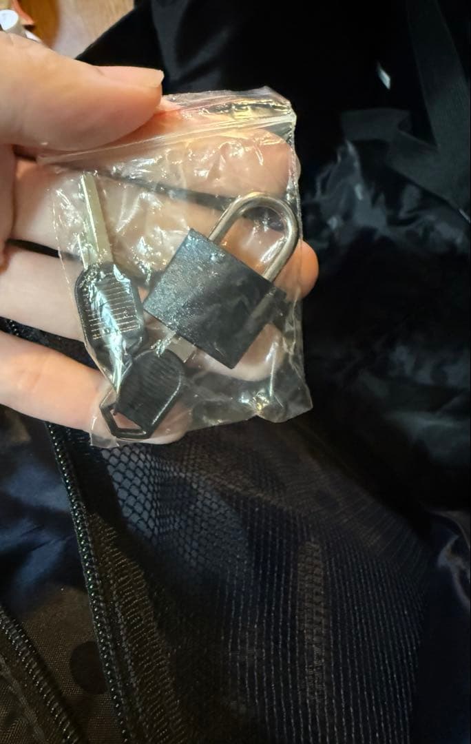 Acid Black Cherry ソフトキャリーケース