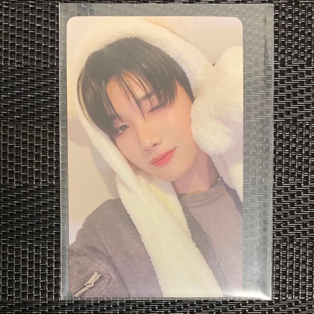 &TEAM JO ジョウ 雪明かり アニマルトレカ - メルカリ