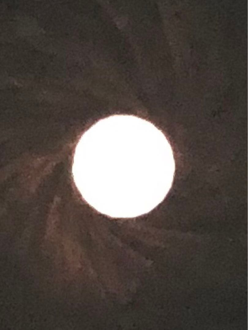 希少 Heinz Kilfitt 600mm F5.6 Nikon マウント - メルカリ