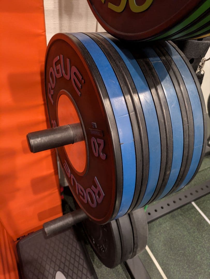 秘*地様 期間限定引き取り値引き Rogue ハーフラック パワーラック一式