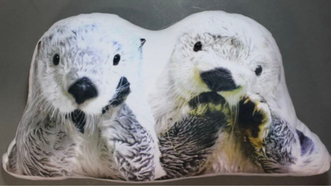 鳥羽水族館】ラッコのメイ☆キラクッション - メルカリ