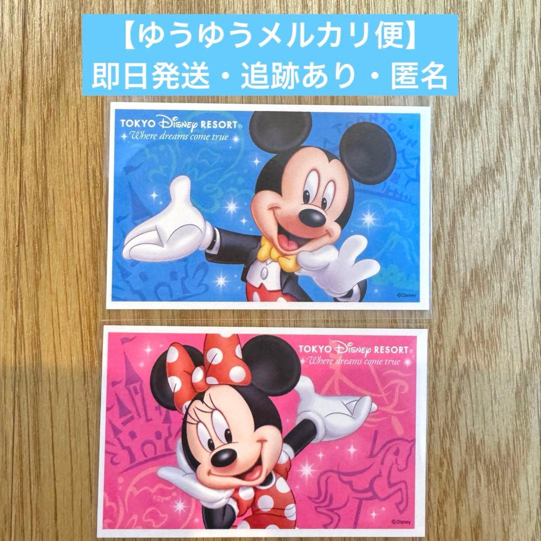 美品】ディズニーチケット 2枚セット 紙チケット ミッキー ミニー 使用
