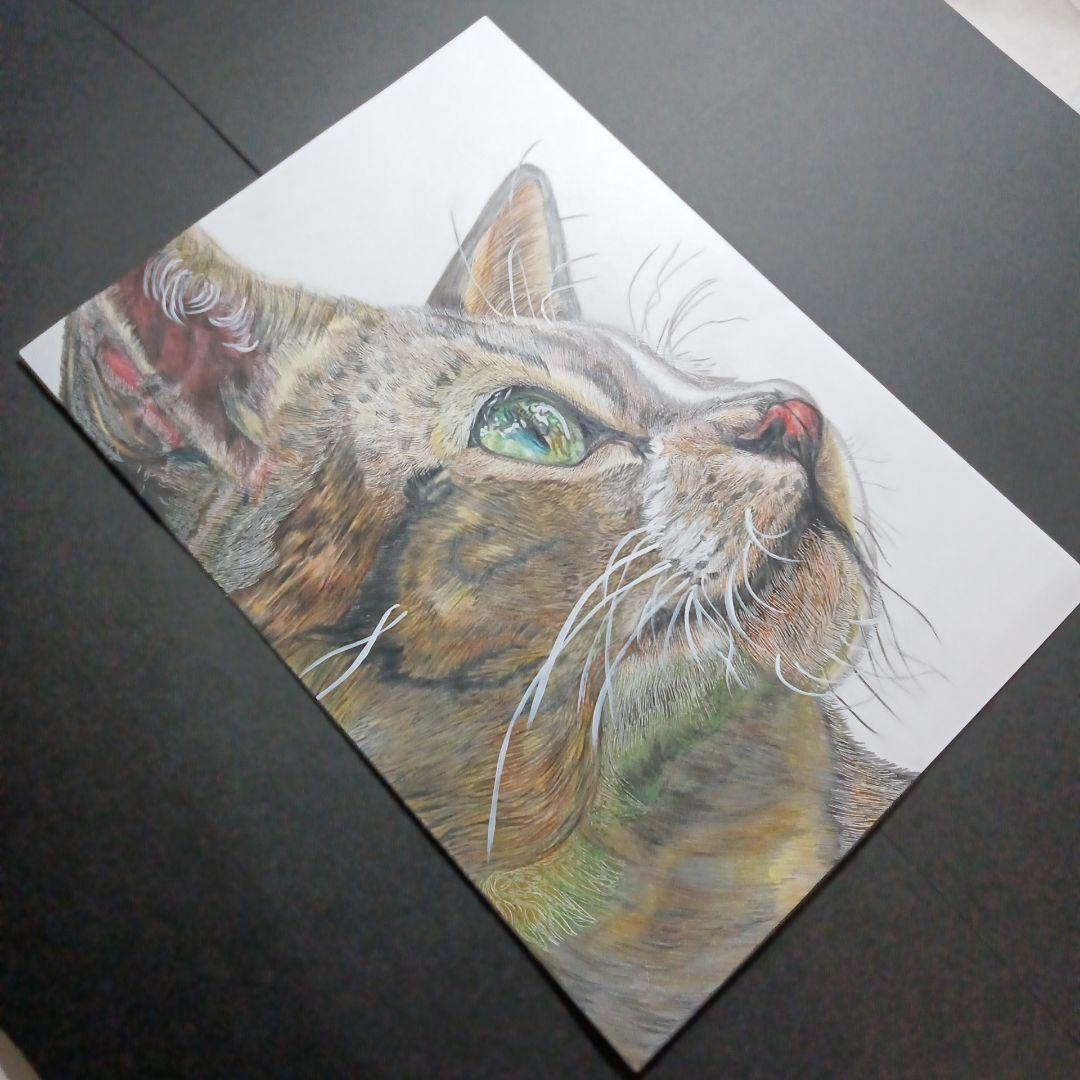 猫ちゃん 色鉛筆画 手書き ハンドメイド A4サイズ ケント紙 横顔