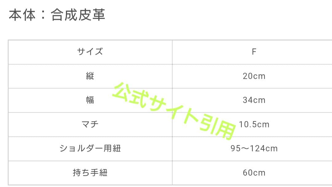 GOD ONLY KNOWS フェイクレザーハンドルバッグ 【新品】岩田剛典