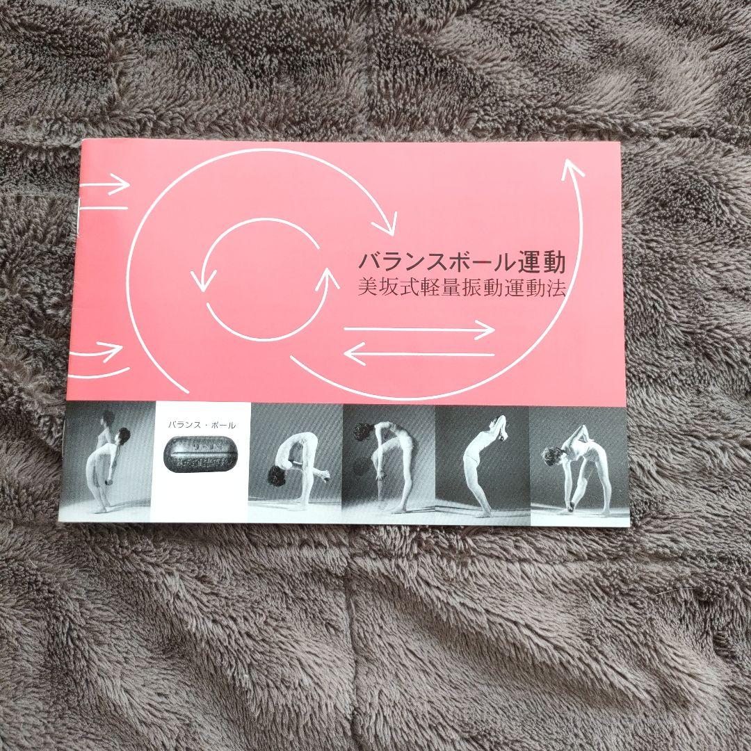 美坂式軽量振動運動法 バランスボール 鉄球 3㎏ ジャパンターナー 取説