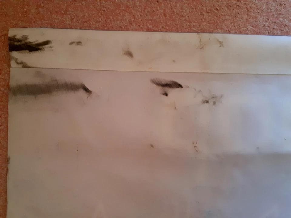 MADONNA　コロンビア製 WEA 宣伝用 非売品 タペストリー