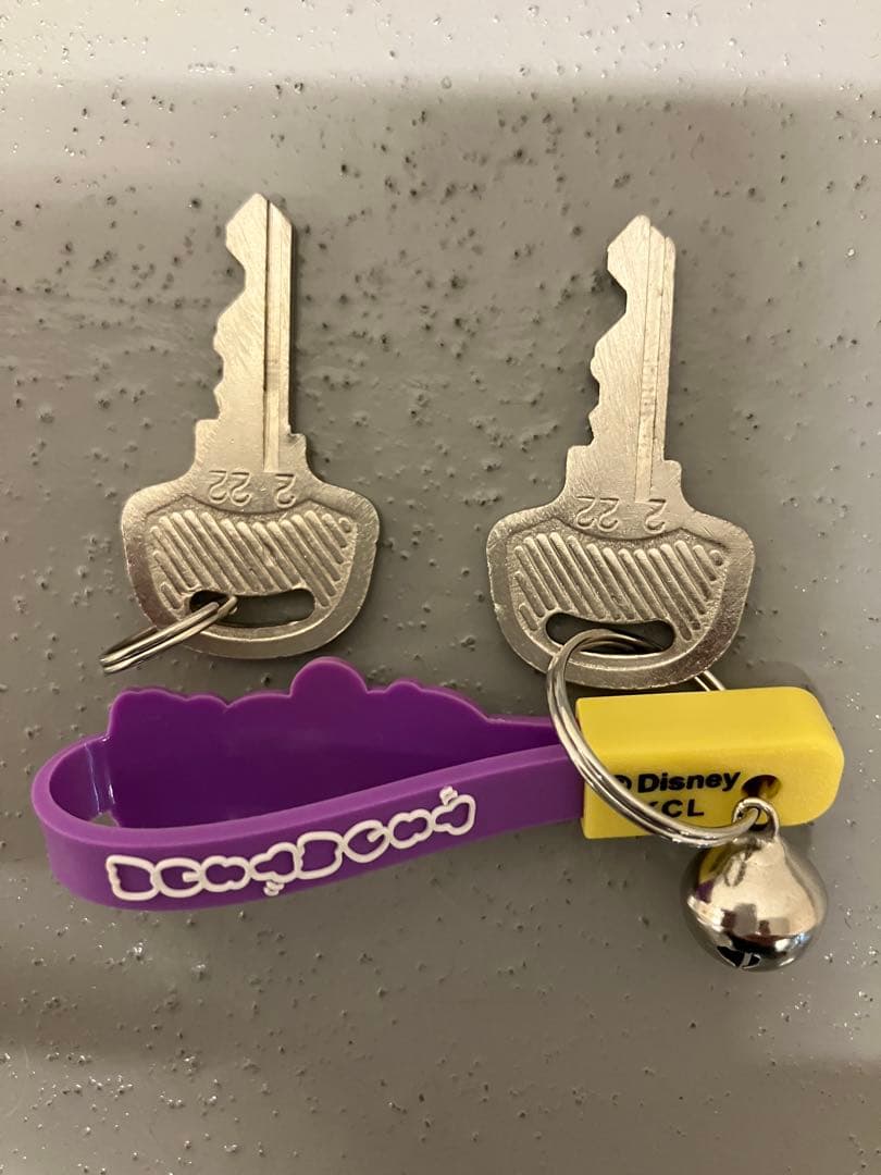 メゾピアノ 22インチ マンション屋内保管 美品 横浜市直接引渡し限定