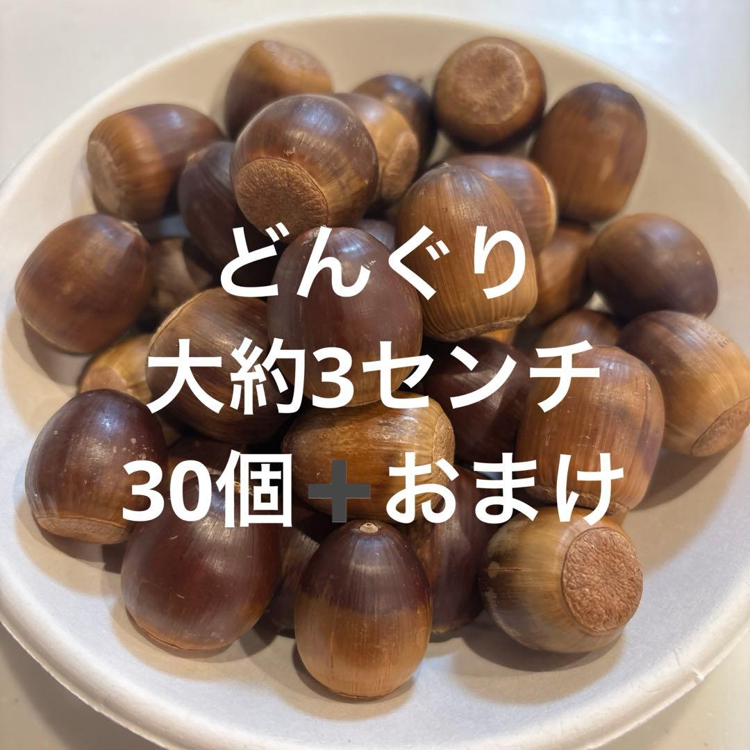 特大 約3センチ ドングリ 30個➕おまけ - メルカリ