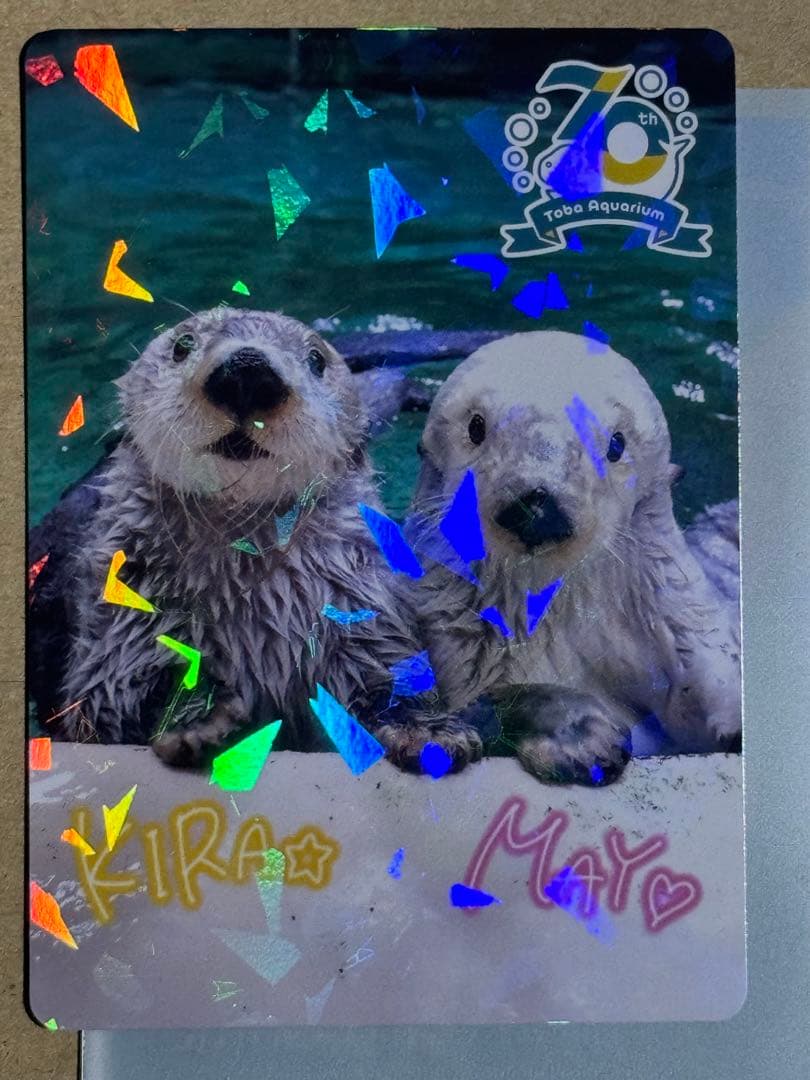 激レア！！☆鳥羽水☆70周年☆キラとメイ☆メイキラ☆メイちゃん キラ