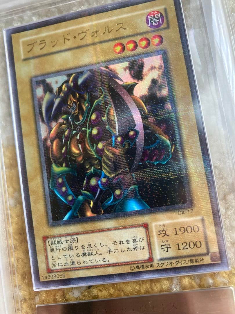 ワッター　8月31日12時迄　ブラッド・ヴォルス ウルパラ　ARS8