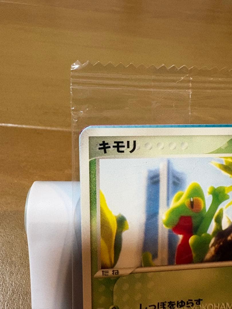 ポケモンカード キモリ ポケモンセンターヨコハマプロモカード 037/PCG