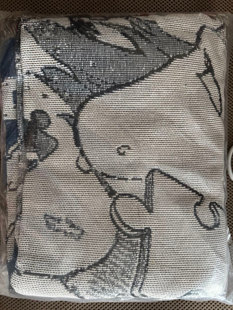 ブルーロック 伊勢丹 Baggage Coffee ラグ 潔 カイザー