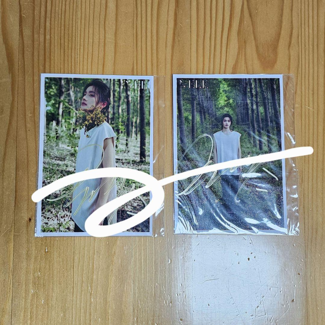 薛八一 直筆サイン ２枚 数量限定】選手直筆サイン入り手形色紙