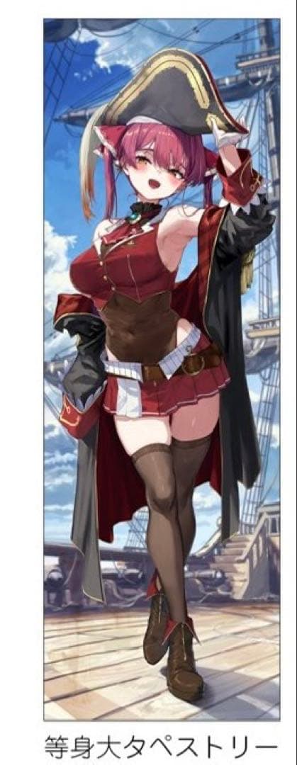 c107 あかさあい 宝鐘マリン 等身大タペストリー - メルカリ