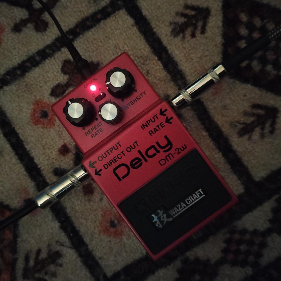 BOSS Delay Dm-2w 技 WAZA CRAFT（アナログ・ディレイ）