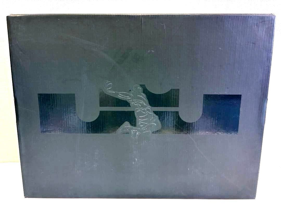 NIKE LEBRON XVI \"MARTIN\" 28cm 未使用品