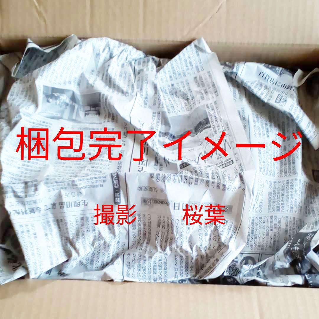 ガンプラ hg 陸戦型ジム（スレイヴ・レイス仕様）　　新品　未組立　内袋未開封