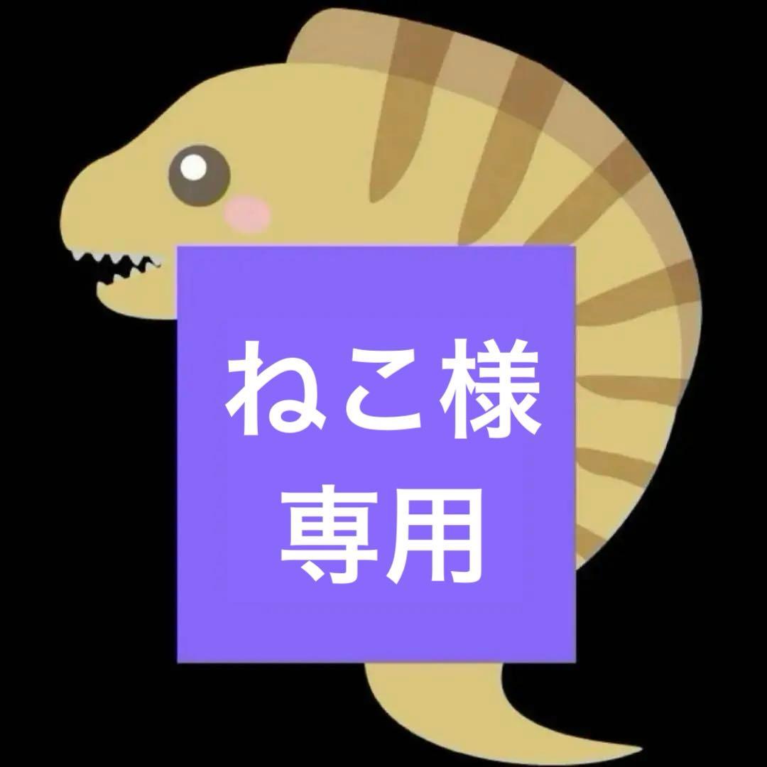 ねこ　アースラ 人間　ヴァネッサ　風　ウィッグ 楽天市場】アースラ ウィッグの通販