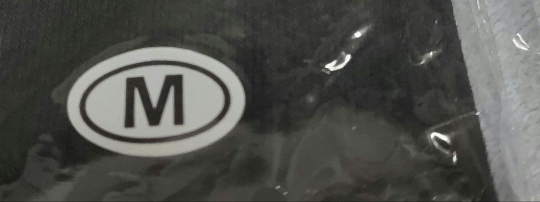 当時物！絶対価格以下無 ブランキージェットシティ D.I.J. Tシャツ 未開封