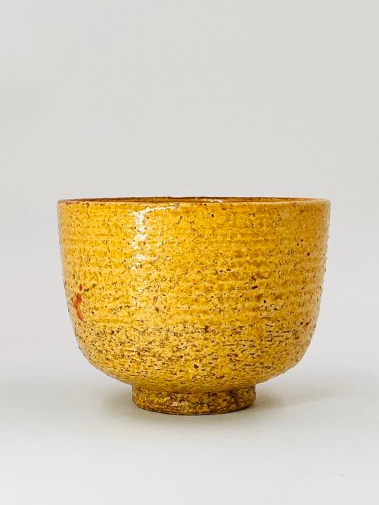 南口閑粋】紅梅絵茶碗 杣山焼 桐共箱 底部在銘 美品