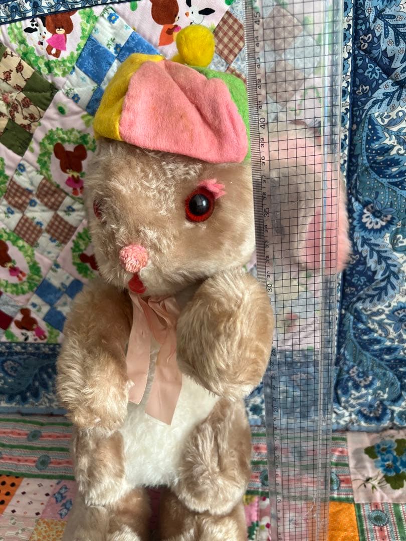 ラシュトン✳︎Rushtonうさぎさん