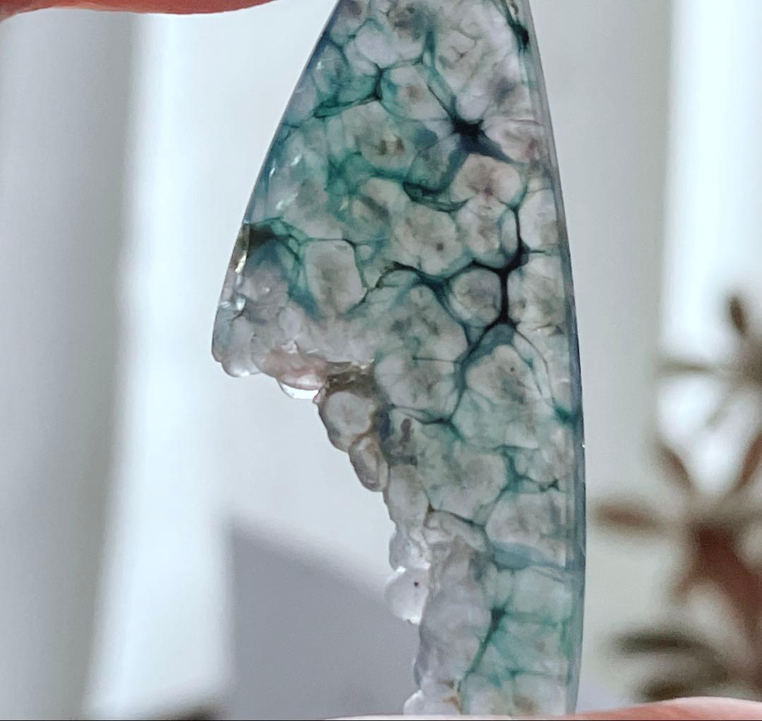 廃盤レア◆一点物✧希少✧テルナテ島アイアゲートモスアゲートピアス