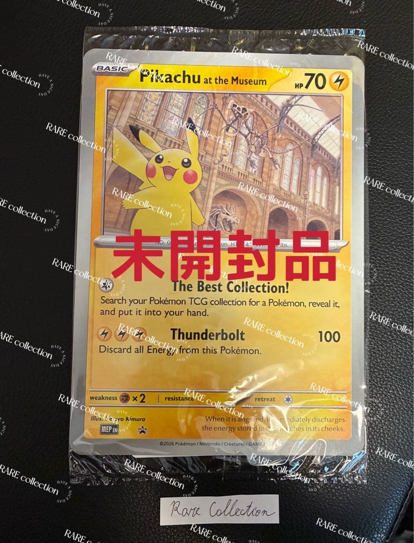 Pikachu at the Museum ピカチュウ ロンドン自然史博物館33 - メルカリ