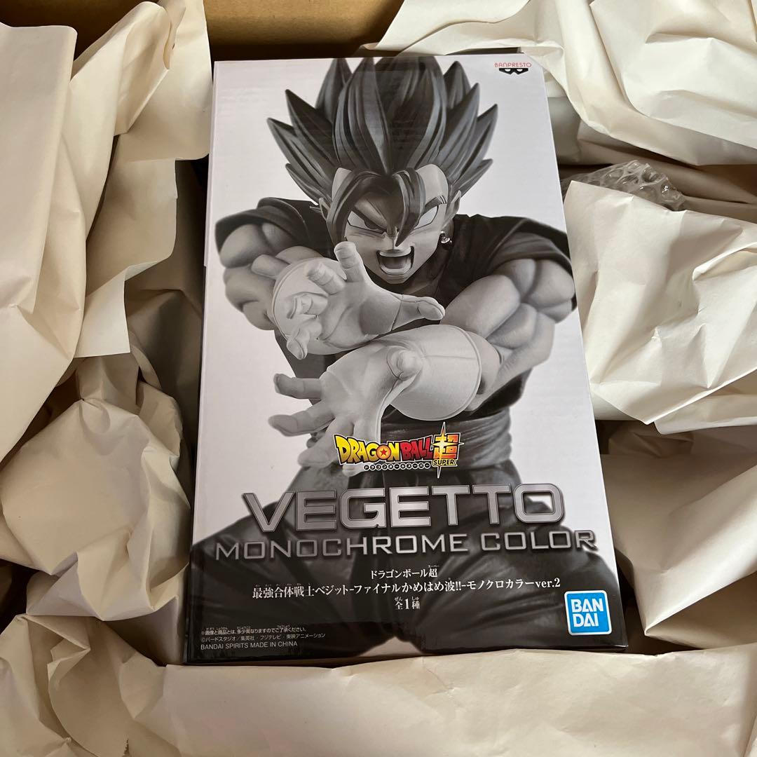 破格！！最強合体戦士ベジット-ファイナルかめはめ波!!-モノクロカラー