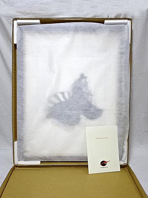 #天野喜孝 #ストライプ #ジクレ #大作 #サイン #アールビバン #証明書