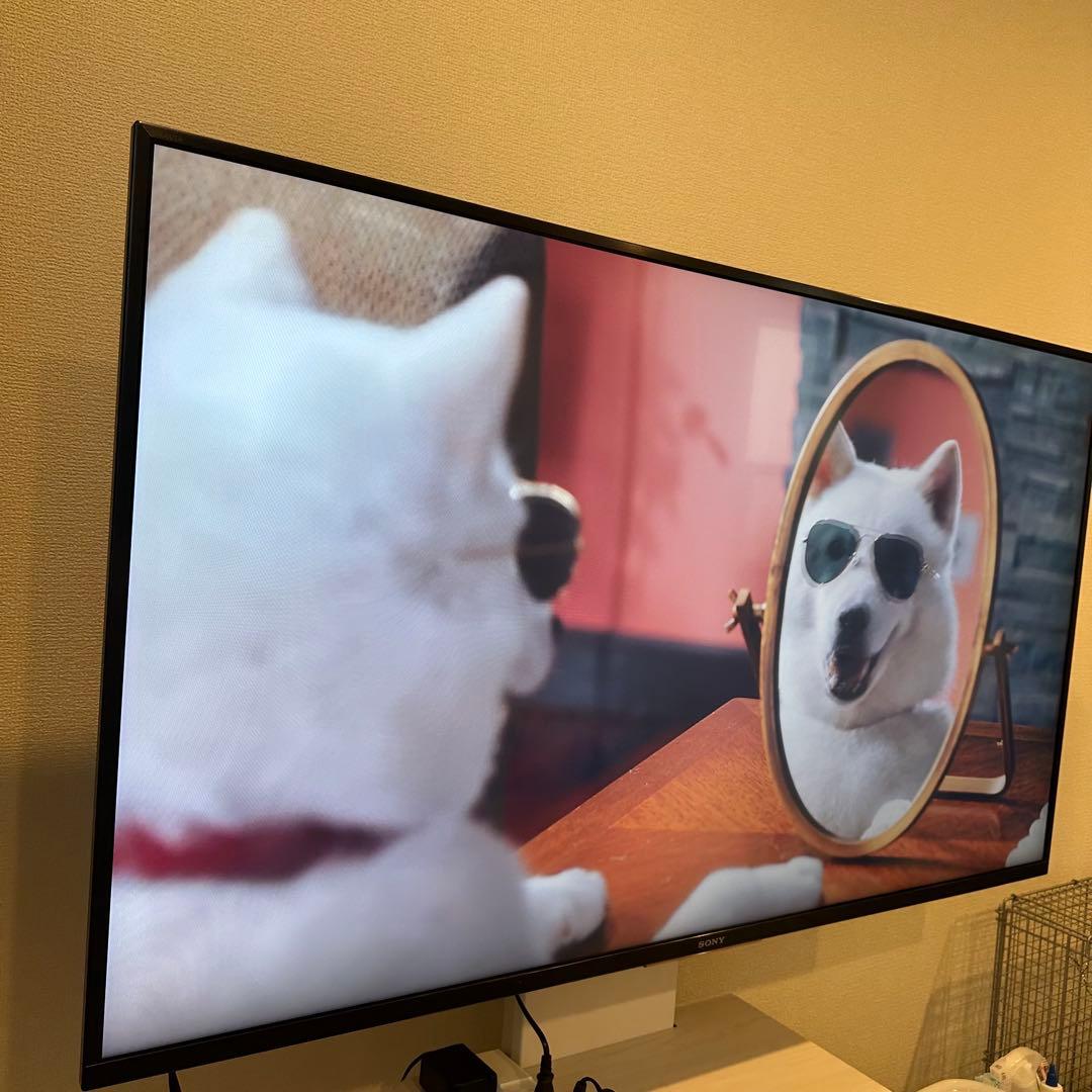 SONY BRAVIA 49型テレビ KJ-49X8500F 2019年製 SONY BRAVIA KJ-49X8500F (B) [49インチ ブラック] 価格比較 - 価格.com