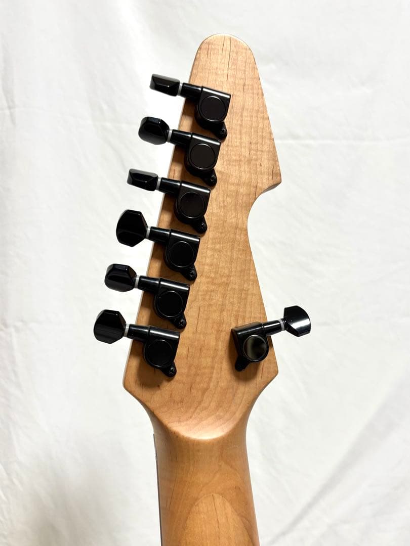 新品弦張替済】Progauge 7弦ギター フロイドローズ シェクター - メルカリ