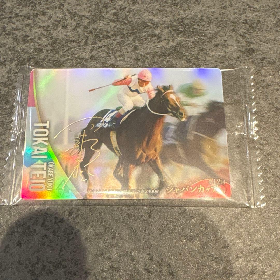 トウカイテイオー サインカード サラブレッドホースコレクション ウマ